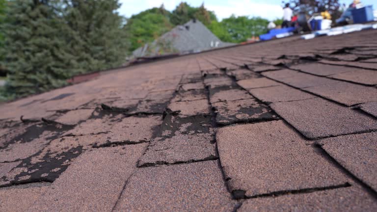Best Roof Ventilation Installation  in Virden, IL
