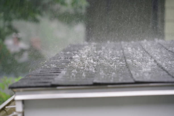 Best Gutter Installation and Repair  in Virden, IL