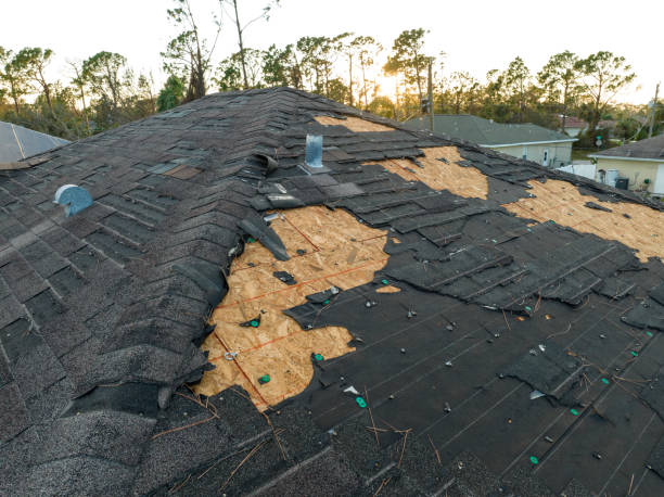 Best Asphalt Shingles Roofing  in Virden, IL