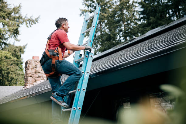 Best Roof Leak Repair  in Virden, IL