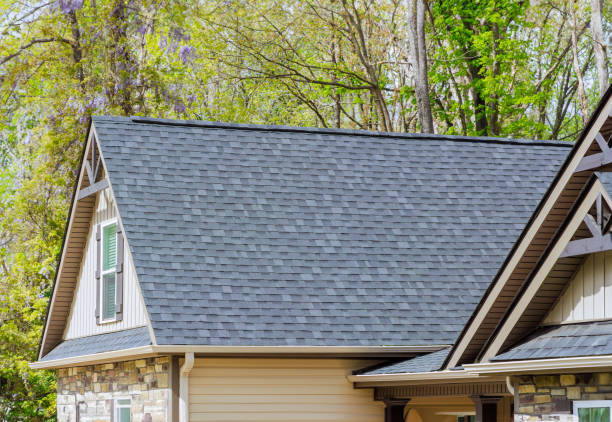 Best Solar Panel Roofing Installation  in Virden, IL